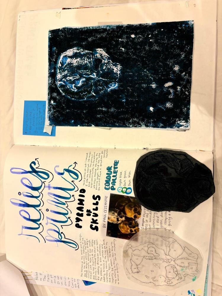 Turtle and shell sketches